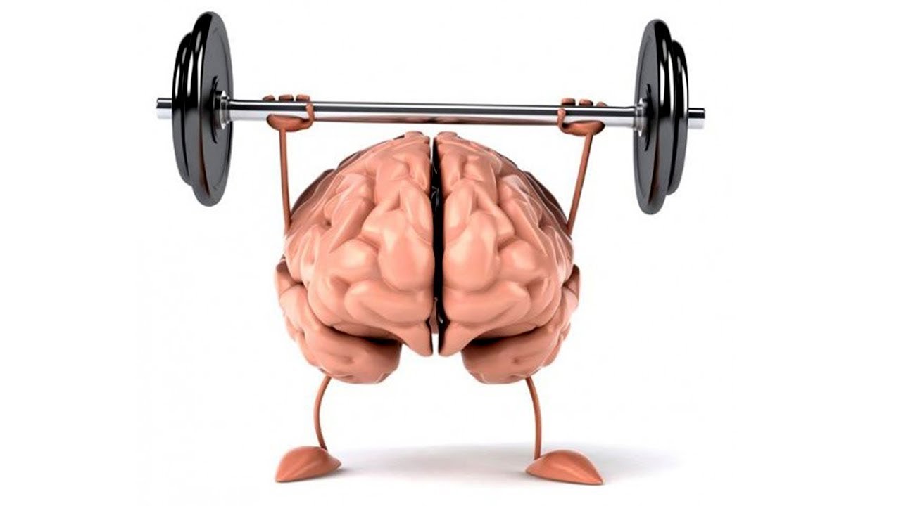 Мозг с гантелями картинки