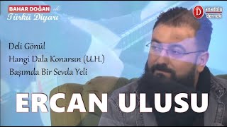 Ercan Ulusu - Deli Gönül Hangi Dala Konarsın (U.H.) - Başımda Bir Sevda Yeli Resimi