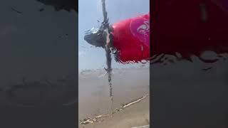 ATR-72 Propeller Vs. Water Cannon Salute! #Shorts