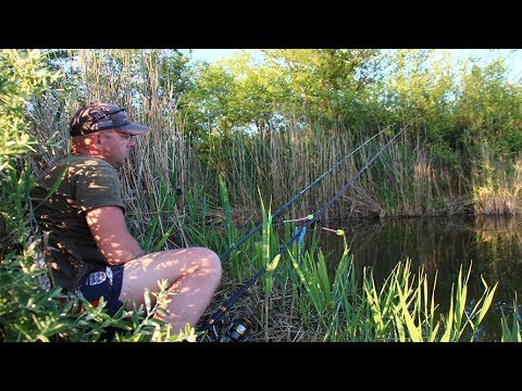 Рыбалка на карпа на кукурузу.Первый летний клёв 2018