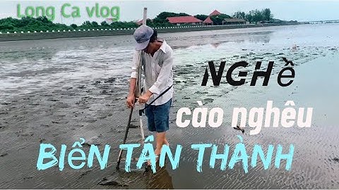 nghề cào nghêu của người dân ở biển Tân Thành Tiền Giang | Cuộc Sống mưu sinh
