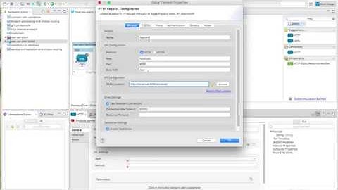 Connect to RAML API with Mule project