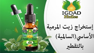 استخراج زيت الميرمية الاساسي &السالمية& بالتقطير