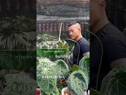 يجب أن يكون كل سطح حديقة وإليك السبب