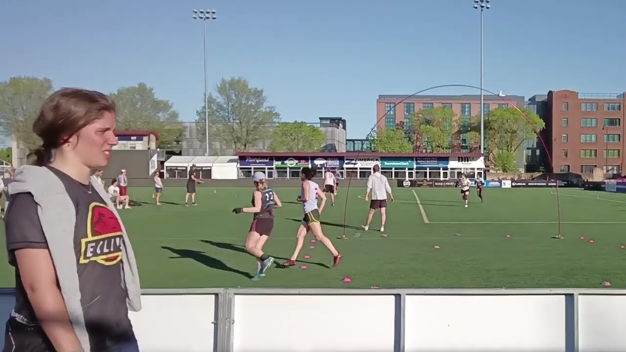 Pudgy Pig (white) vs Gnarly Gnome (dark) 051125