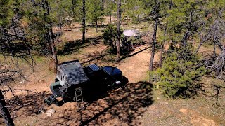 Solo Truck Camping | Relaxing in the forest