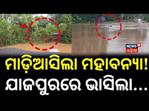 ମାଡ଼ିଆସିଲା ମହାବନ୍ୟା ! Odisha Flood Update | Odisha Flood News Live | Baitarani Embankment Breach