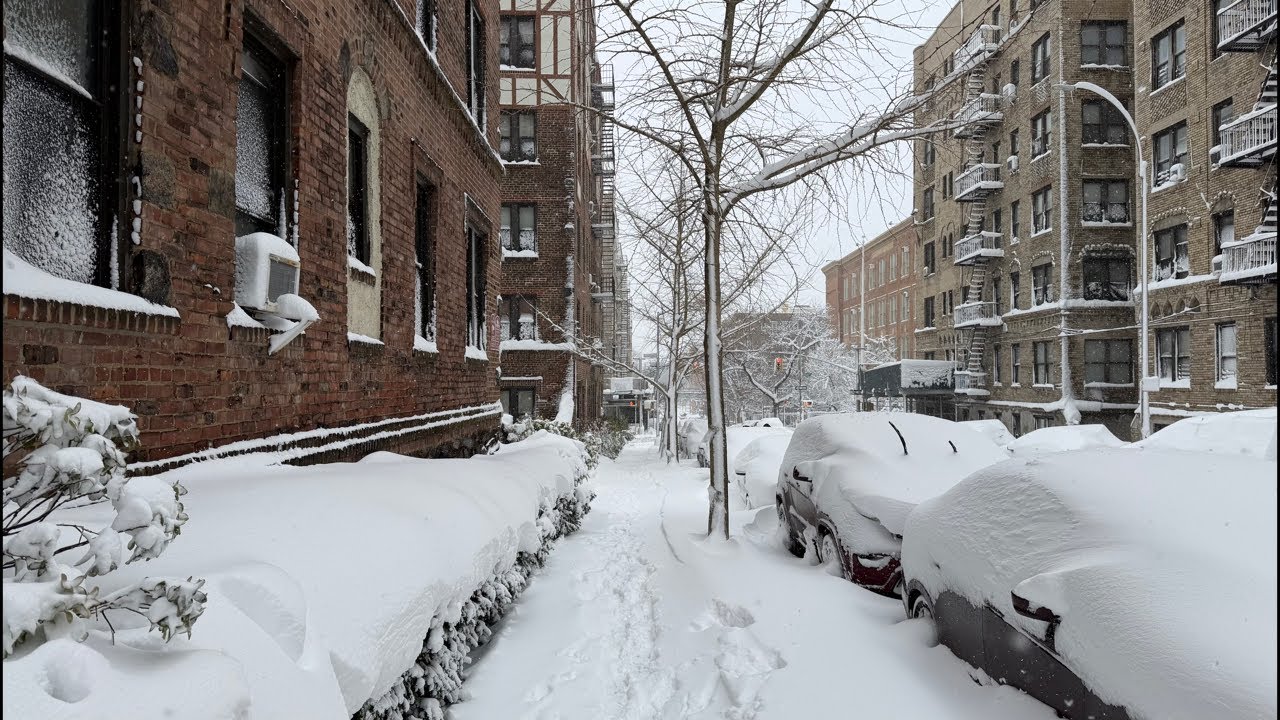 New York City LIVE Blizzard Snowstorm The Bronx