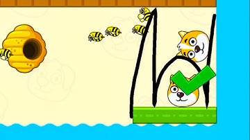 Save The Dog Speedrun Gameplay Level 370