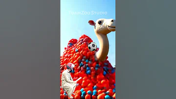 Camel FoamZoo Studio 
