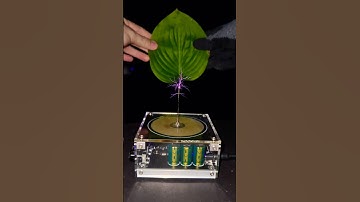 🍃 Music Tesla Coil #experiment #leaf #shorts