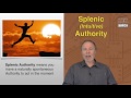 SPLENIC AUTHORITY by Richard Beaumont - PREVIEW