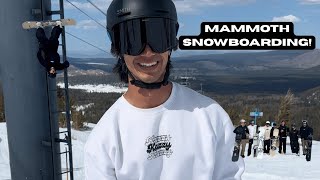 MAMMOTH MOUNTAIN SPRING SNOWBOARDING! (MAMMOTH MOUNTAIN, CA)