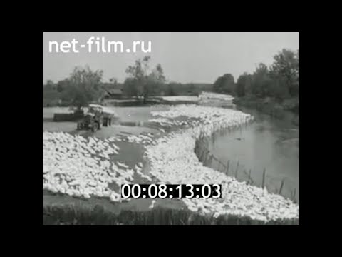 1977г. совхоз Котляревский. г. Майский. Кабардино- Балкария