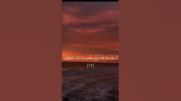 سورة يوسف الآيه ١١.١٢.١٣ | الشيخ او القارى اسلام صبحي 💛
