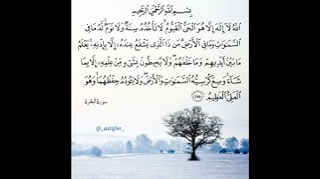 آية الكرسي بصوت القارئ عبدالله الموسى