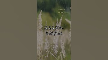 سورة مريم الاية 12-17