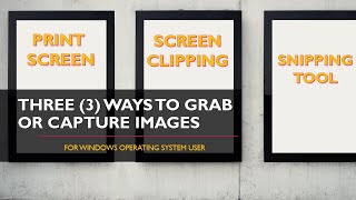 Three 3 Ways To Grab Or Capture Images