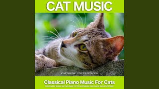 Fur Elise - Beethoven - Nature Sounds and Classical Piano - Background Classical Music and Bird...