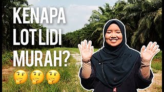 Kenapa Lot Lidi Murah
