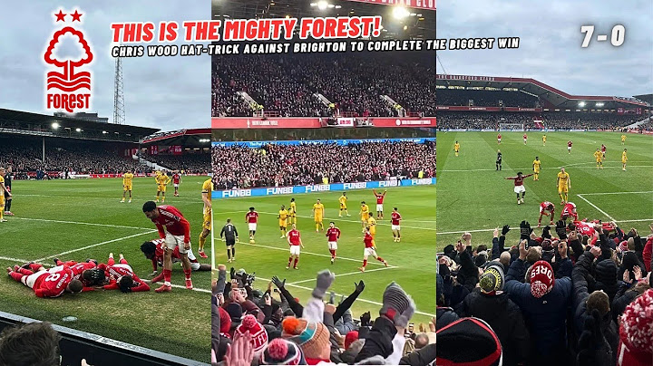 Nottingham Forest Fans Erupt At City Ground! As Chris Wood Scores a Hat-trick Against Brighton
