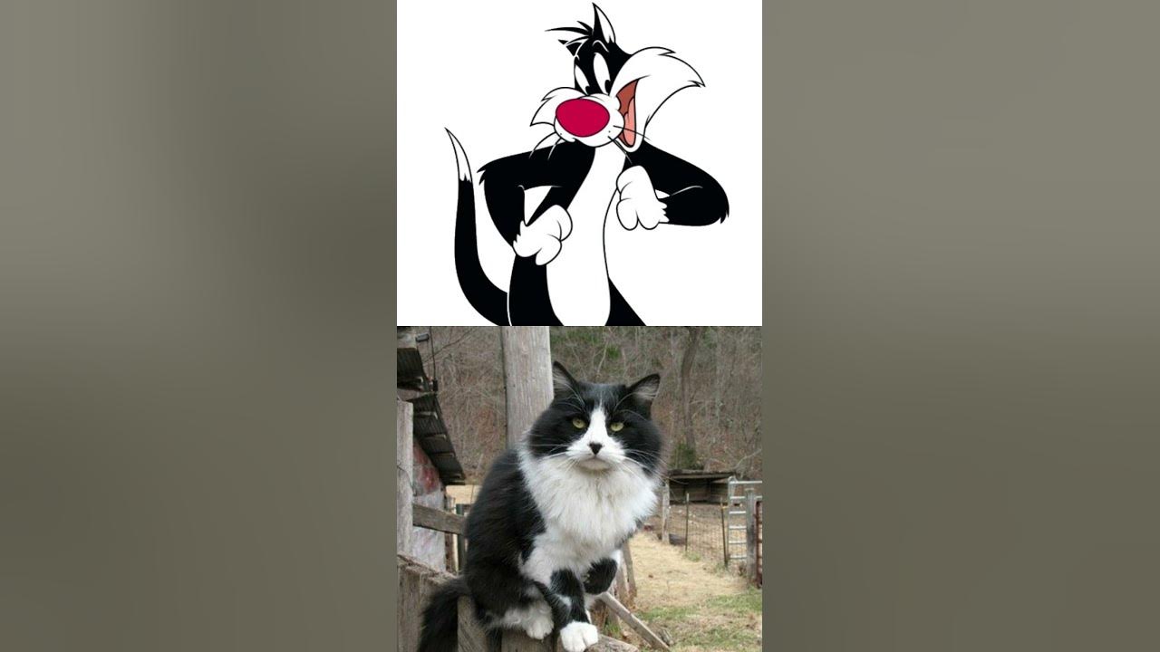 Bugs Bunny Real Life 😍 [Part 1]#shorts - YouTube