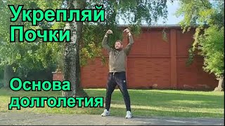 Цигун для почек и укрепления поясницы: основа долголетия