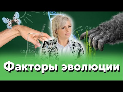 Видео: Кои фактори влияят на естествения подбор?