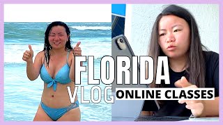 In Longboat Key Florida for a week (part 2): first day of online classes