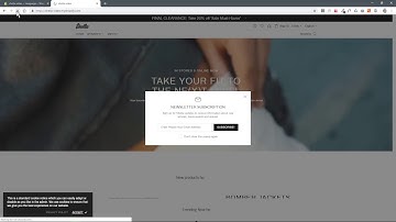 Newsletter. Additional options  - Shella Fashion Shopify theme