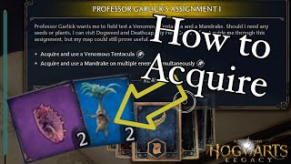 Celebrity how to acquire and use a venomous tentacula / mandrake in Hogwarts Legacy Profile