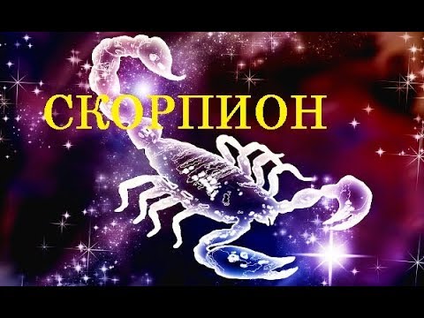 СКОРПИОН / Какие комнатные цветы подходят по знаку ЗОДИАКА? / Галерея Цветов / Flower Gallery