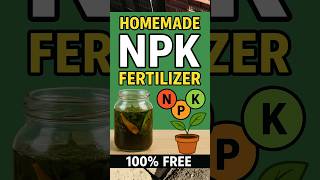 NPK खाद घर पर कैसे बनाएं | 100% Organic