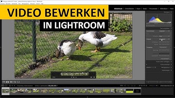 Lightroom Classic in 10 stappen Bonus | Bewerken van video (Dutch)