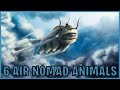 6 Air Nomad Animals (Avatar)