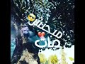 دي شلة نص كم
