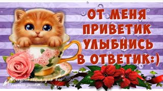 ☕️ От меня приветик, улыбнись в ответик! Позитивчик для друзей! Музыкальная видео открытка.