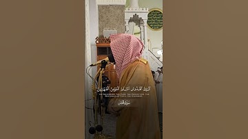 أحمد الغامدي | مسجد قباء | سورة الحشر