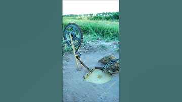 Create Amazing Trap Technique - Quail Trap #creative bird trap #shorts