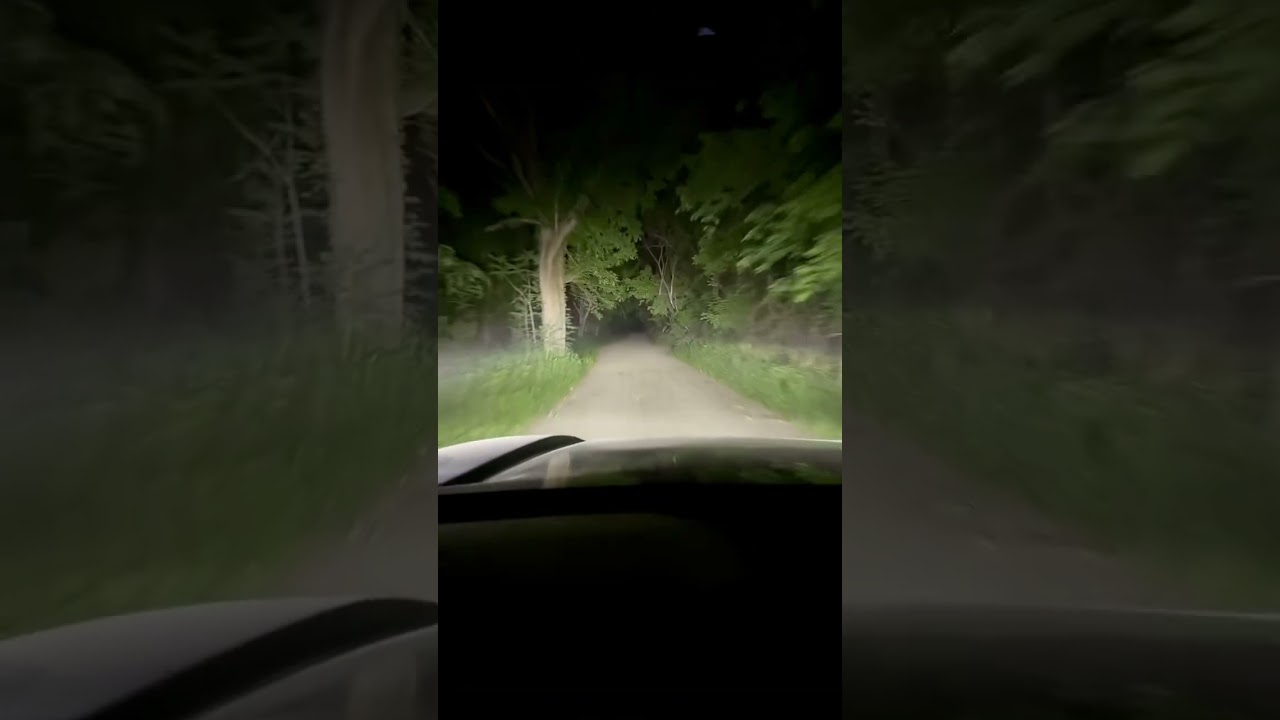 POV: SS3 Pro Combo Ditch Light Kit | Diode Dynamics