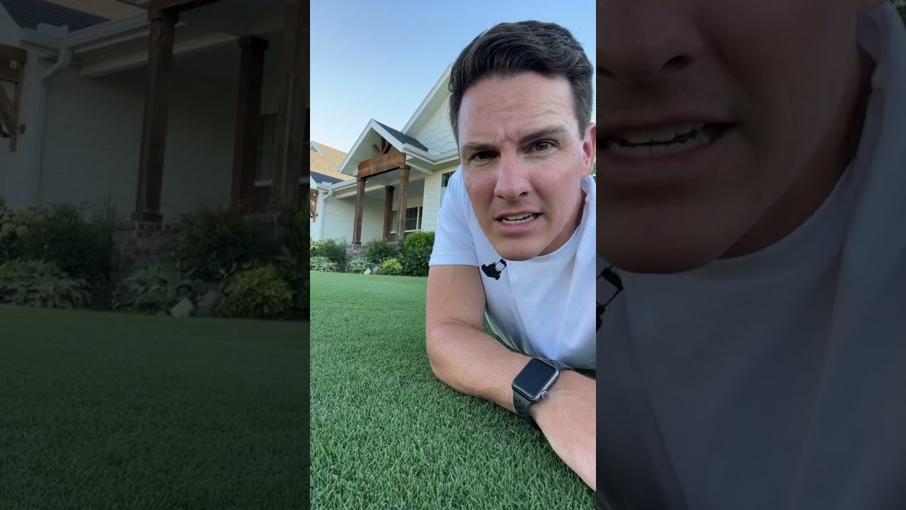 Bermudagrass Will FRY In The Heat At Lengths Less Than 3 