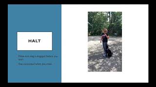 FDSA Workshop: Petra Ford- Backchaining Heeling