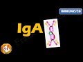 IgA: Structure, Properties and Functions (FL-Immuno/39)