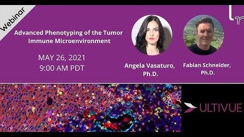 Advanced Phenotyping of the Tumor Immune Microenvironment