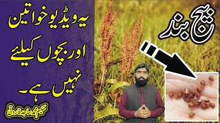 Rumex seeds health benifits in urdu | beej bhand ke fawaid | بیج بند کے فائدے | hk sajid farooqi