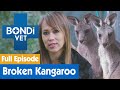 Fixing a Kangaroo Joey's Broken Leg | FULL EPISODE | E11 | Bondi Vet