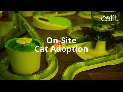 Catit Playground Boston 2023 – Catit USA - Official Catit Brand Store