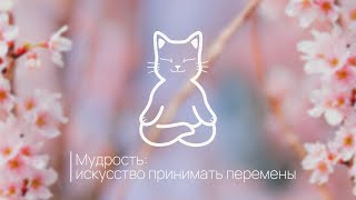 Мудрость: искусство принимать перемены