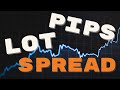 Should You Trade Forex or Stocks by Investopedia
