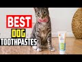 ✅Top 5 Best Dog Toothpastes in 2025